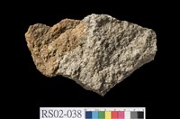 藏品(礫岩)的圖片